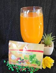 FitLine Powercocktail
